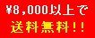 8000.GIF